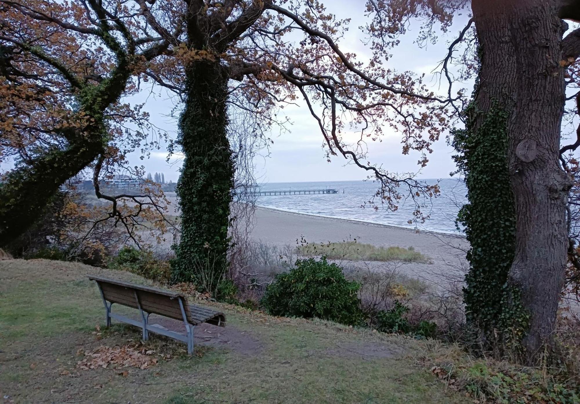 Fewo Muschelgetuschel im Prinz Hamlet - direkte Strandlage Pelzerhaken Exterior foto